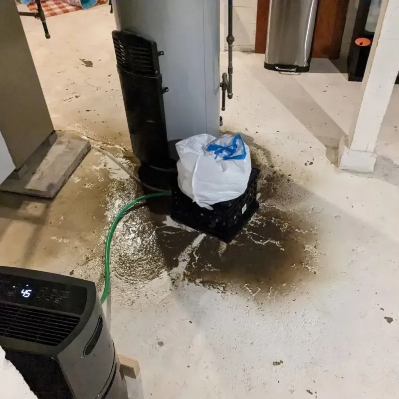 Sewage Backup Cleanup Service in Christian County, MO